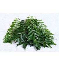 CURRY LEAVES 1 BUNCH